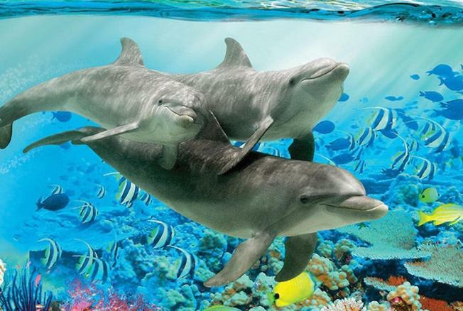Delfina Naehe Europa Park Rust Διαμέρισμα Kappel-Grafenhausen Εξωτερικό φωτογραφία